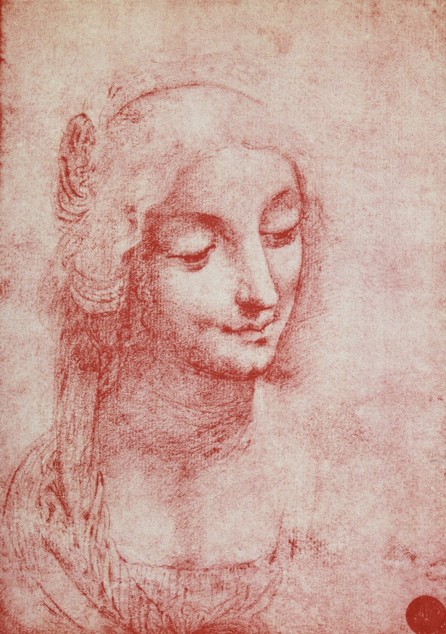 Głowa kobiety (czerwona kreda na papierze) autorstwa Leonardo da Vinci