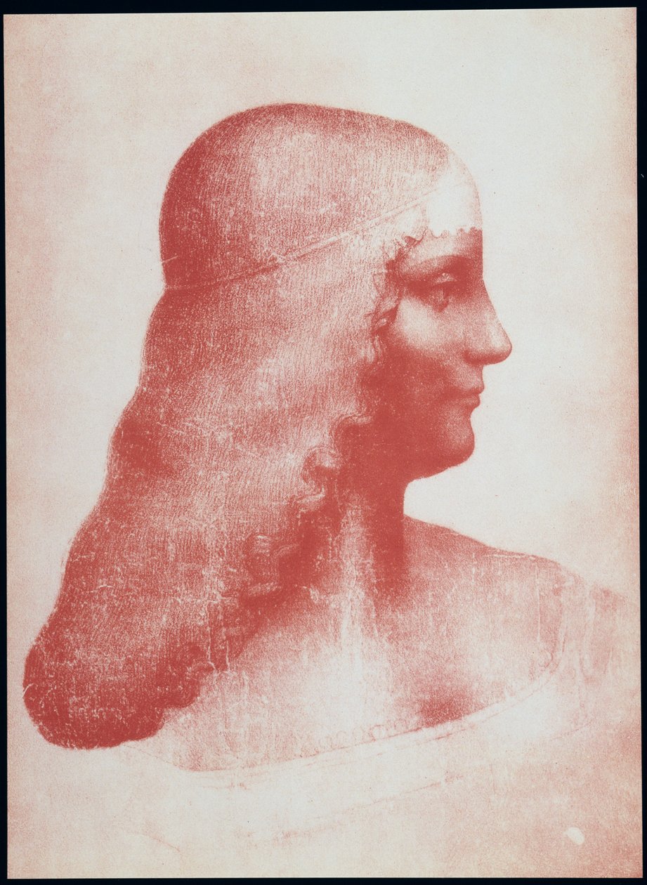 Głowa kobiety z profilu (czerwona kreda na papierze) autorstwa Leonardo da Vinci