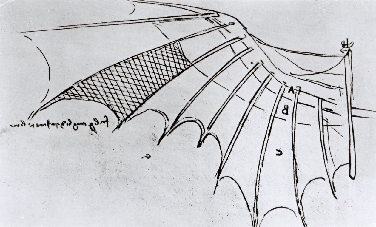 M S B 2173 fol. 74r Badania artykulacji skrzydeł, 1487-90 autorstwa Leonardo da Vinci