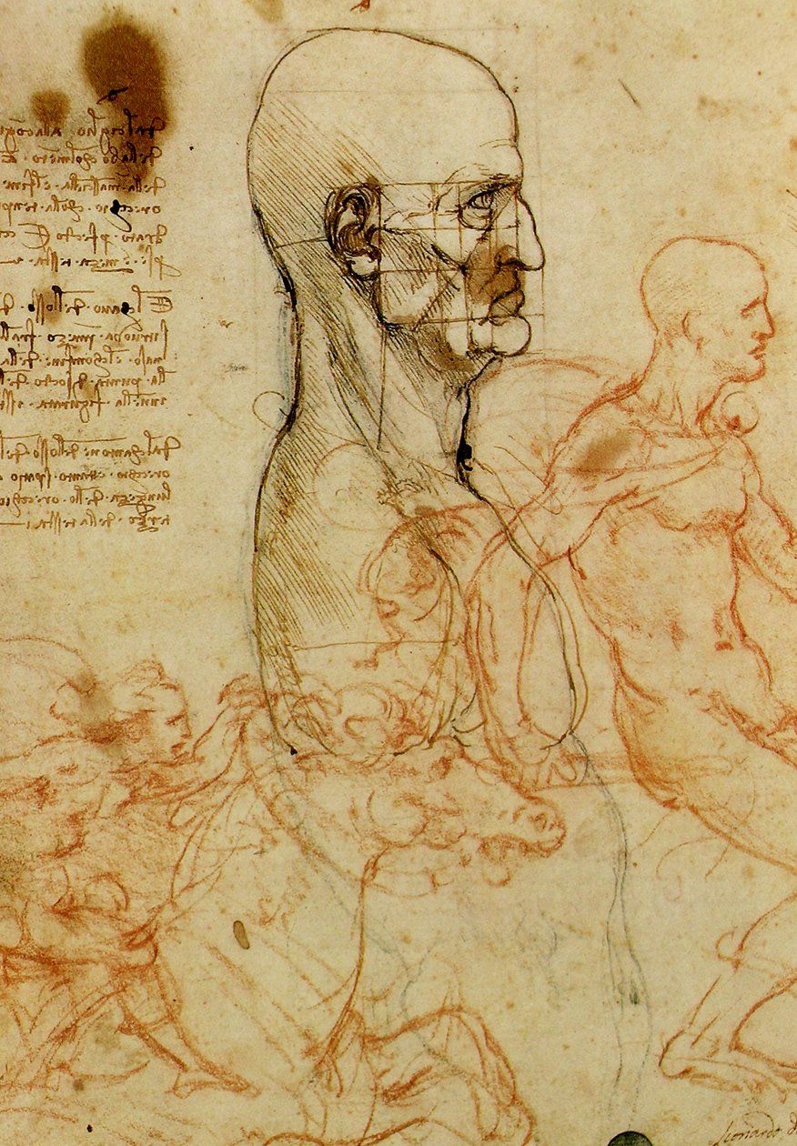 Męskie badanie głowy autorstwa Leonardo da Vinci