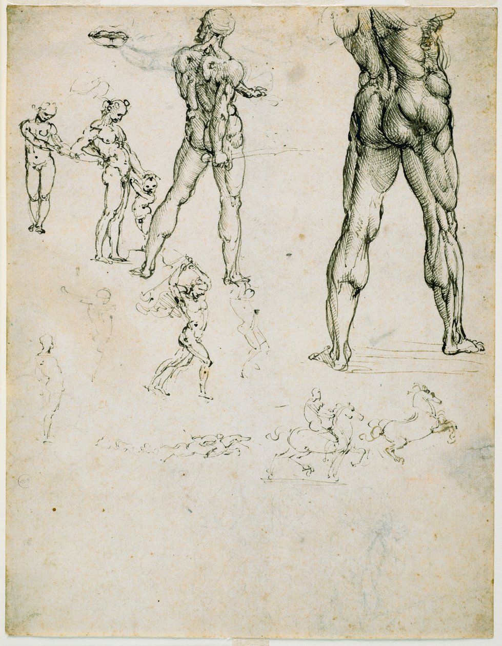 Nudi, za „Bitwa pod Anghiari” i inne studia nad postaciami, 1505 (długopis i brązowy atrament, ślady węgla na papierze) autorstwa Leonardo da Vinci
