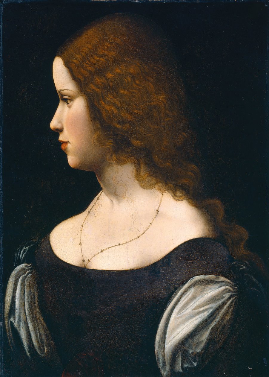 Portret młodej damy autorstwa Leonardo da Vinci