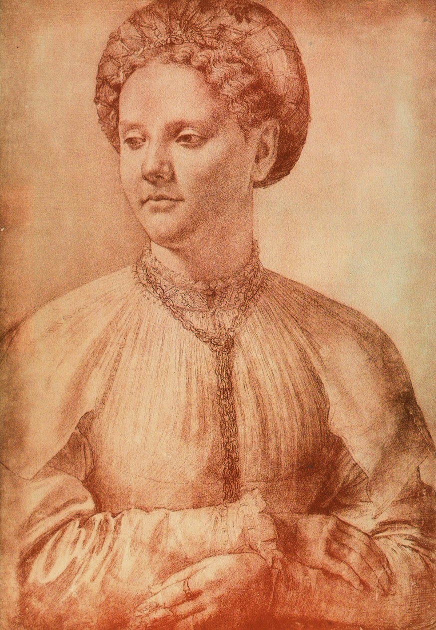 Portret szlachcianki, rysunek Leonarda da Vinci. Gabinet Rysunków i Grafiki, Galeria Uffizi, Florencja autorstwa Leonardo da Vinci