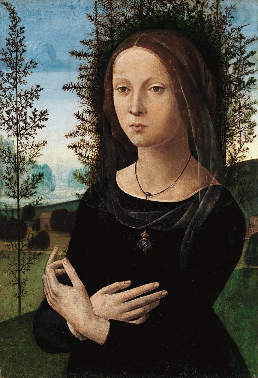 Portret młodej kobiety autorstwa Leonardo da Vinci