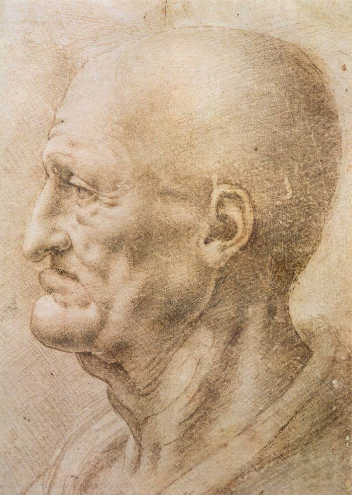 Profil starego człowieka autorstwa Leonardo da Vinci