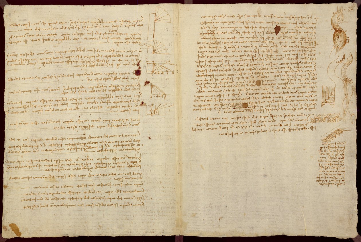Diagramy naukowe, z „Codex Leicester”, 1508-12 (tusz sepia na papierze lnianym) autorstwa Leonardo da Vinci