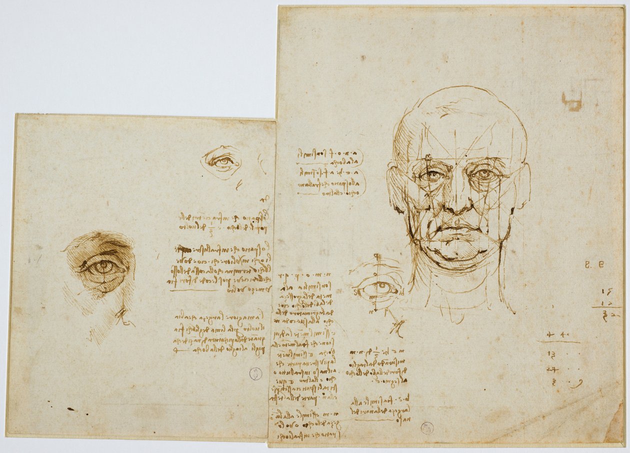 Studia proporcji twarzy i oka (z notatkami), ok. godz. 1489-90 (metaliczna końcówka, długopis i brązowy tusz na papierze) autorstwa Leonardo da Vinci