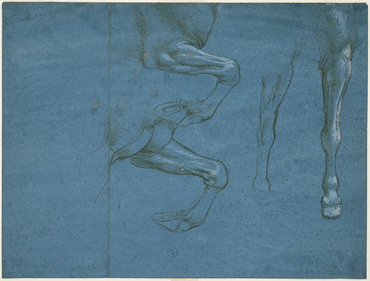 Badania kończyn przednich konia, 1490 (metaliczna końcówka i wybielanie na niebieskim przygotowanym papierze) autorstwa Leonardo da Vinci