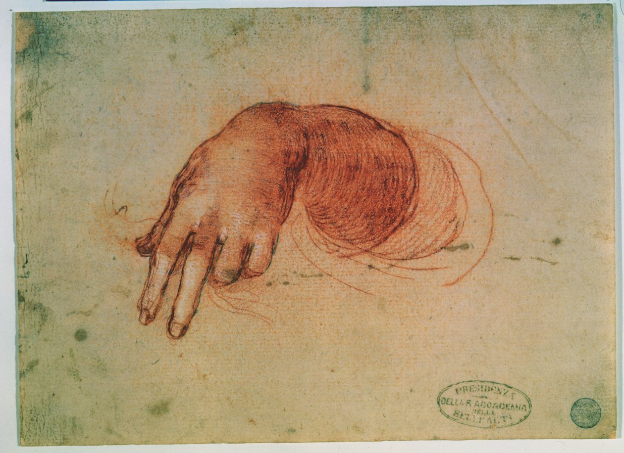 Rankos (raudona kreida ant popieriaus)polio tyrimas autorstwa Leonardo da Vinci