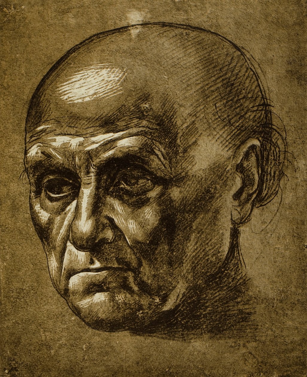 Badanie męskiej twarzy; rysunek Leonarda da Vinci. Luwr, Paryż autorstwa Leonardo da Vinci