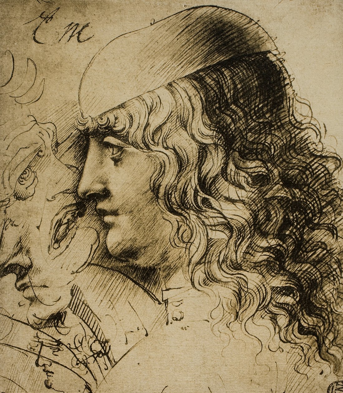 Studium męskiej głowy; rysunek Leonarda da Vinci. Luwr, Paryż autorstwa Leonardo da Vinci