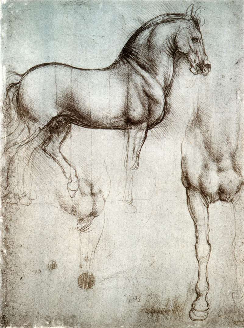 Studium koni autorstwa Leonardo da Vinci