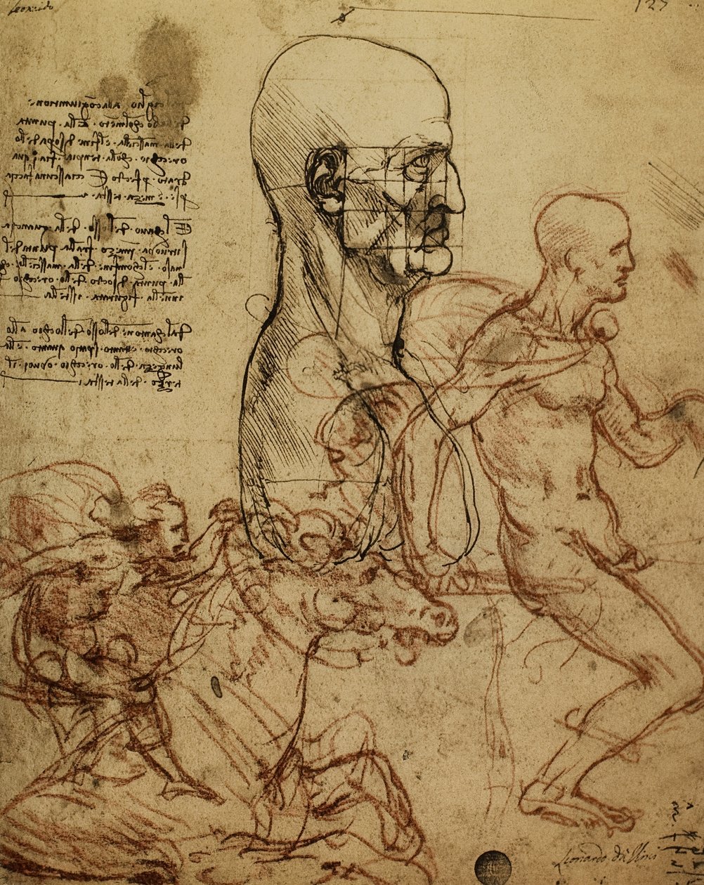 Studium ludzkiej fizjonomii i jeźdźców do malowania bitwy pod Anghiari; rysunek Leonarda da Vinci. Gallerie dellAccademia, Wenecja autorstwa Leonardo da Vinci
