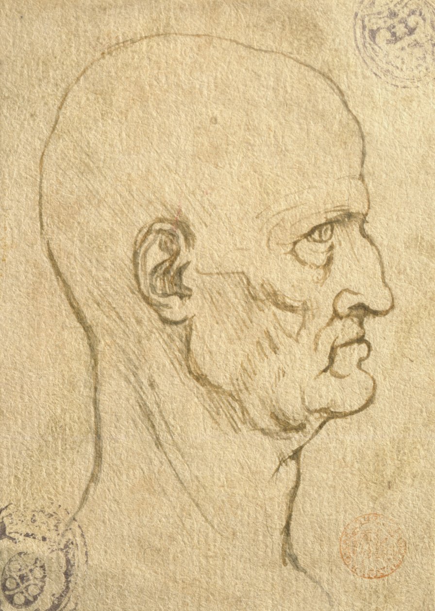 Badanie proporcji człowieka autorstwa Leonardo da Vinci