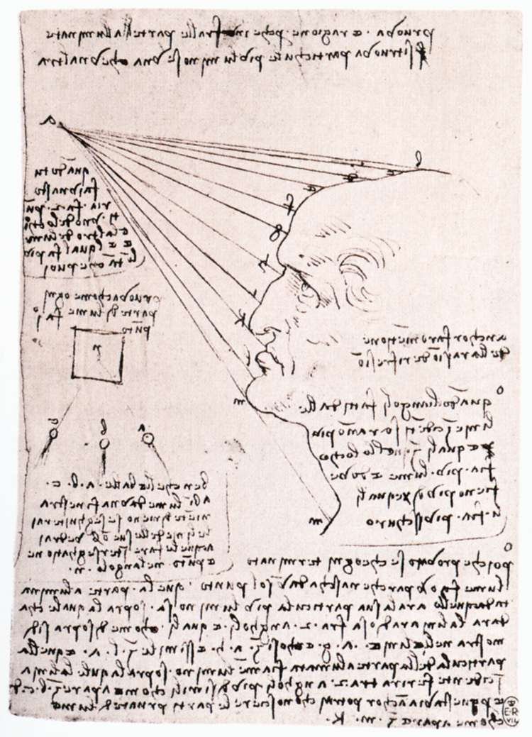 Badanie wpływu światła na głowicę profilu autorstwa Leonardo da Vinci