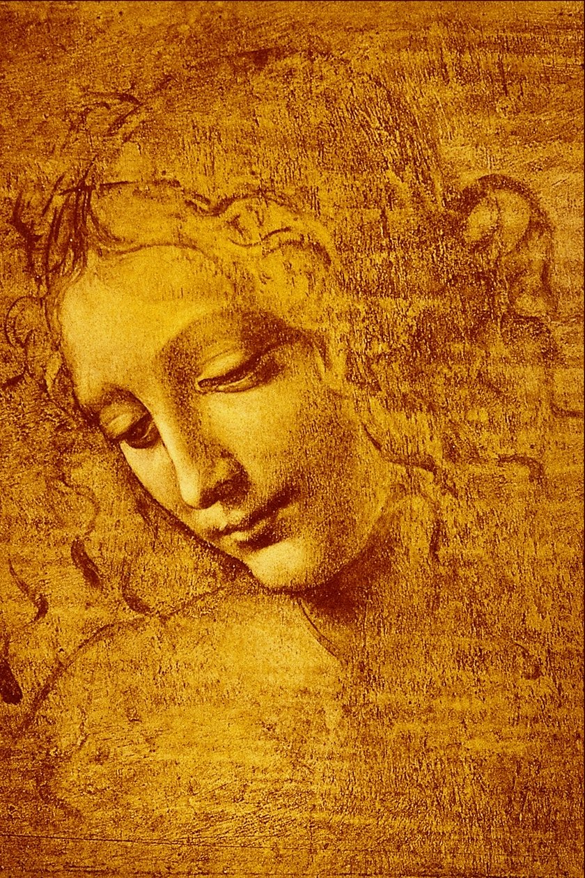 Głowa dziewicy zwanej ... autorstwa Leonardo da Vinci