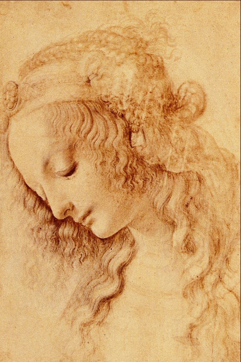 Głowy kobiety w profilu autorstwa Leonardo da Vinci