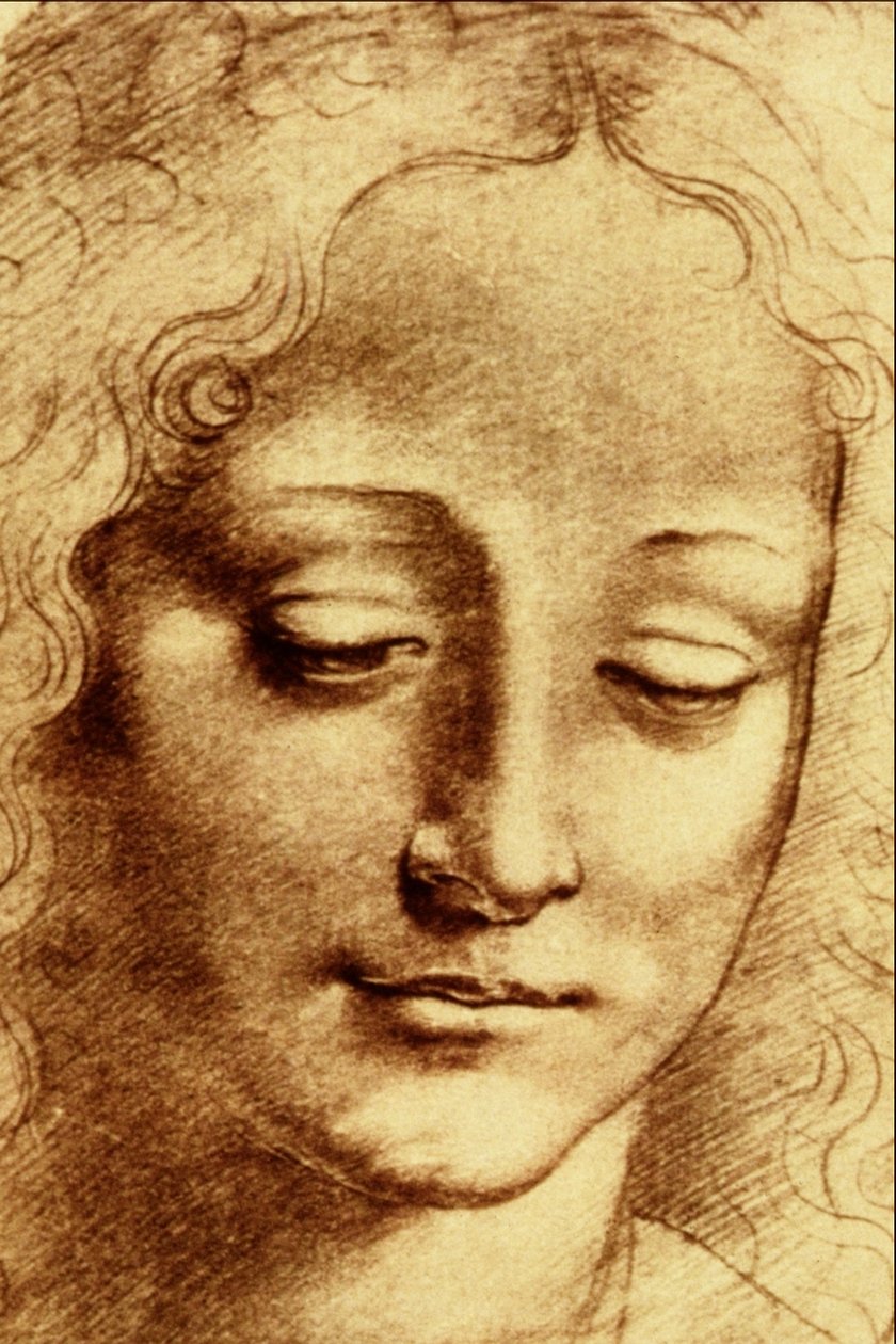 Szefowie Giovinetta autorstwa Leonardo da Vinci