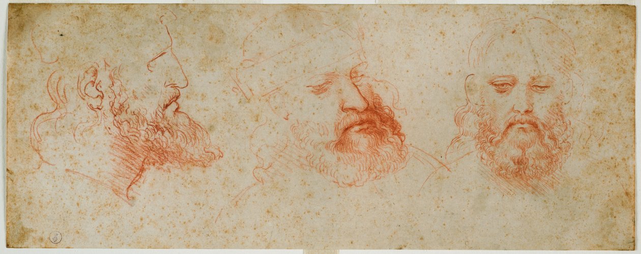 د ږيرې سره د سړي سر درې نظرونه، ج. 1502 (په کاغذ باندې وینه) پولی autorstwa Leonardo da Vinci