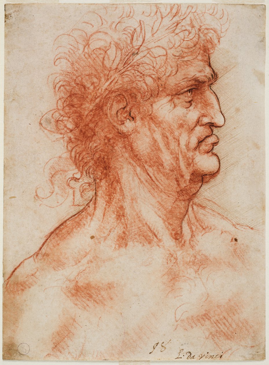 Męska głowa profilu zwieńczona wawrzynem, ok. 1900 r. 1506-10 (krew z konturami skrzyżowanymi piórem na białym papierze) autorstwa Leonardo da Vinci