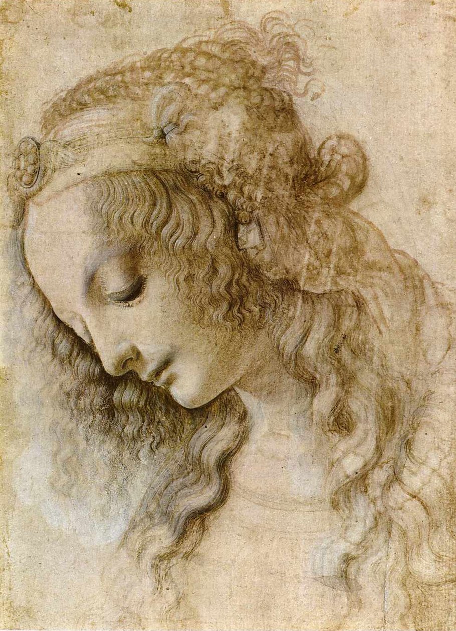 Kobieca głowa w profilu autorstwa Leonardo da Vinci