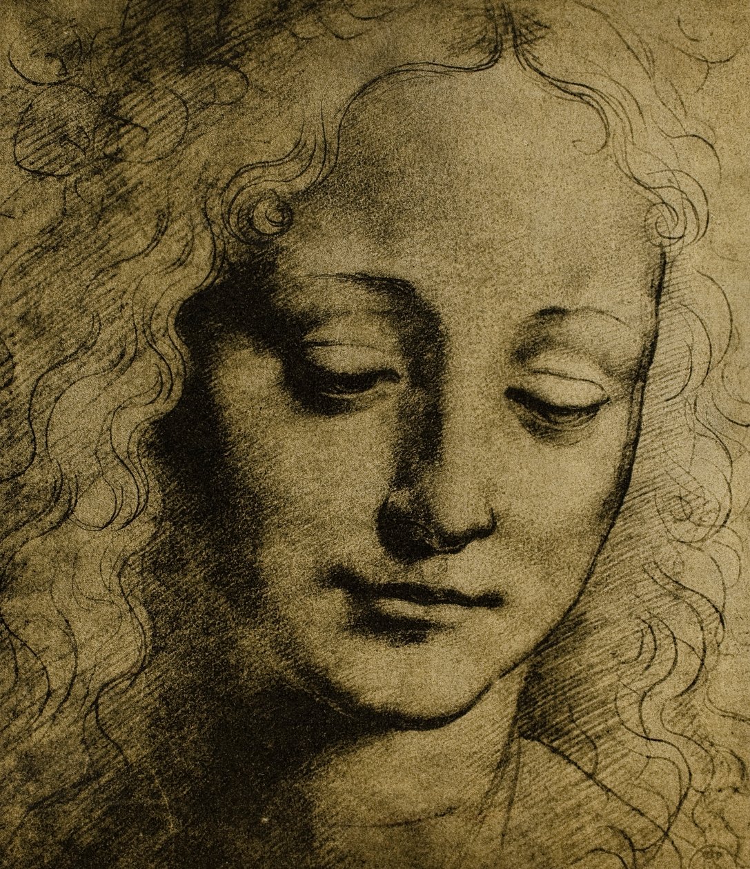 Głowa młodzieży; rysunek Leonarda da Vinci. Gabinet Rysunków i Grafiki, Galeria Uffizi, Florencja autorstwa Leonardo da Vinci