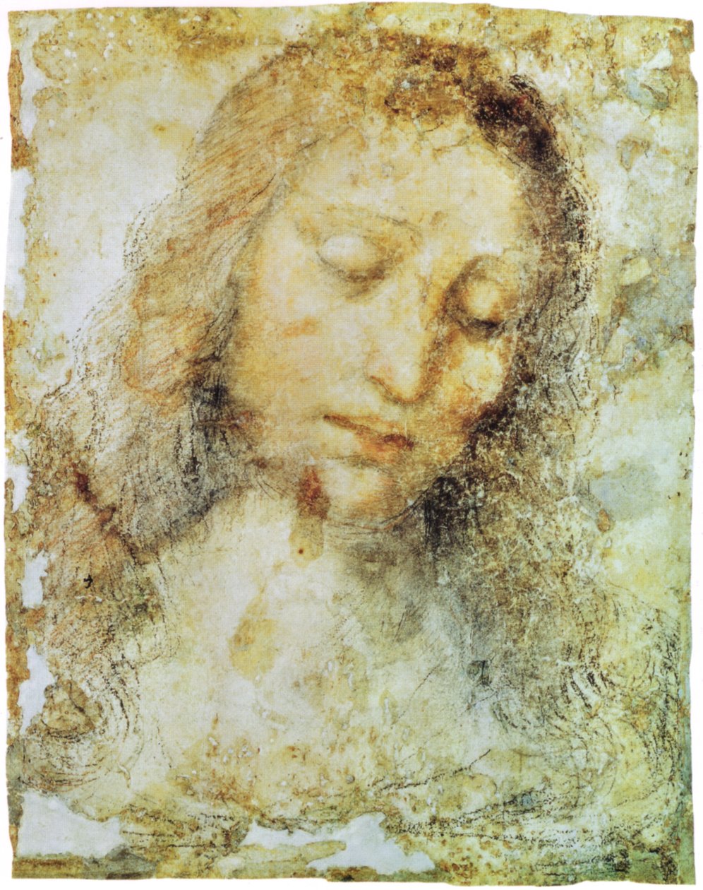 Galeria zdjęć Brery autorstwa Leonardo da Vinci