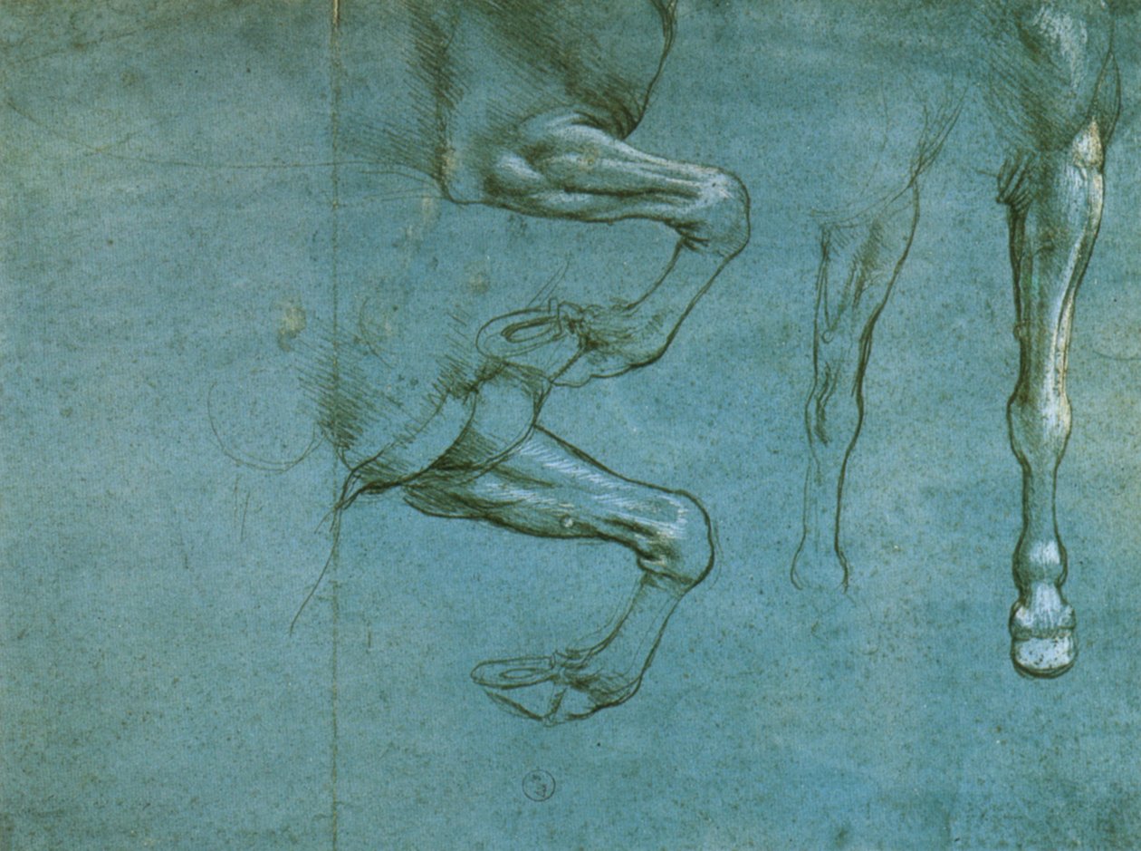 badanie przednich nóg konia autorstwa Leonardo da Vinci