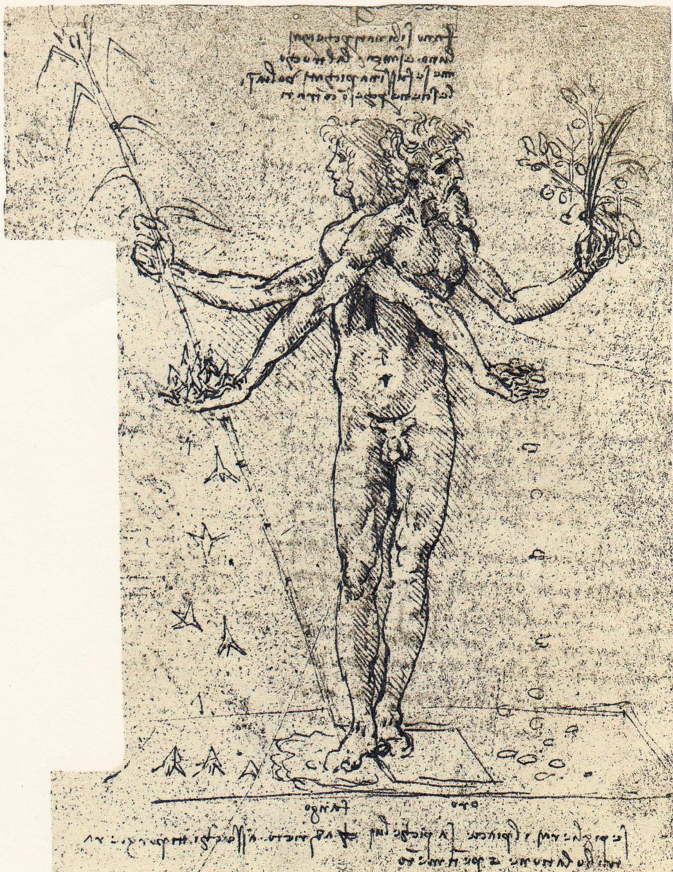 nieznany rysunek korpusu androgyn z dwiema głowami autorstwa Leonardo da Vinci