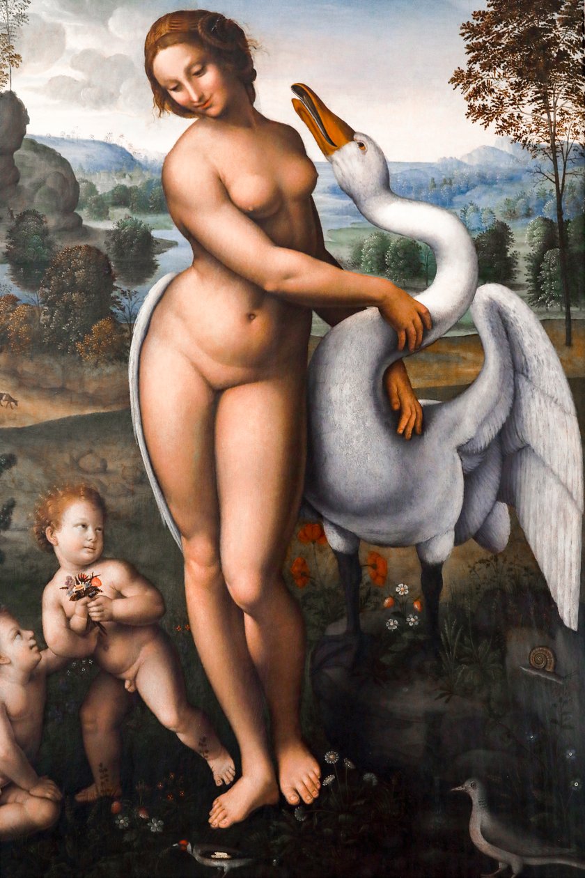 Leda i łabędź, olej na płótnie autorstwa Leonardo da (after) Vinci