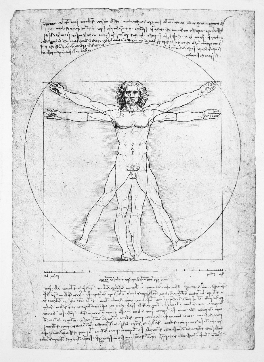 Proporcje postaci ludzkiej (według Witruwiusza), ok.1492 (faksymile) autorstwa Leonardo da (after) Vinci