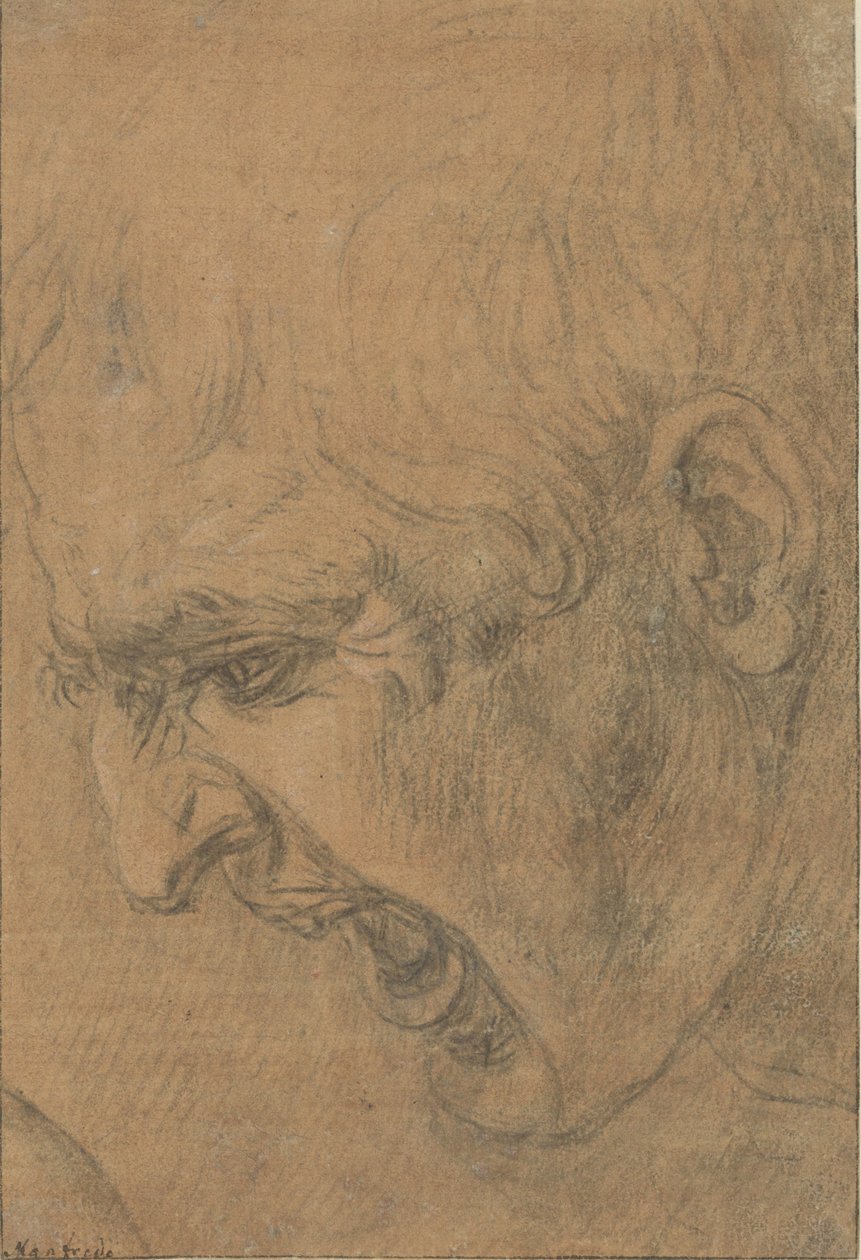 Głowa krzyczącego mężczyzny autorstwa Leonardo da Vinci (follower of)