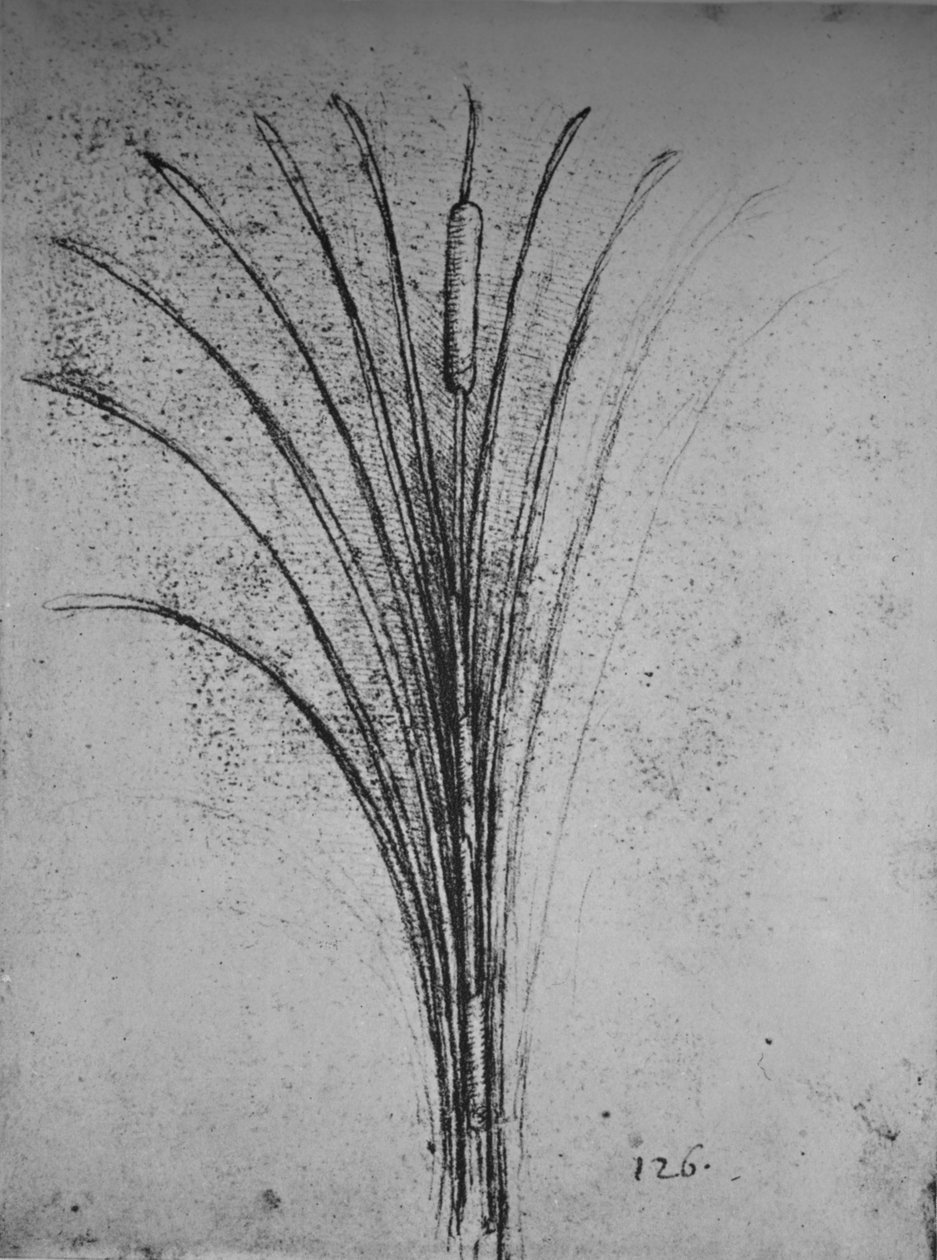 Oczeret, ok. 1480 1945 autorstwa Leonardo da Vinci