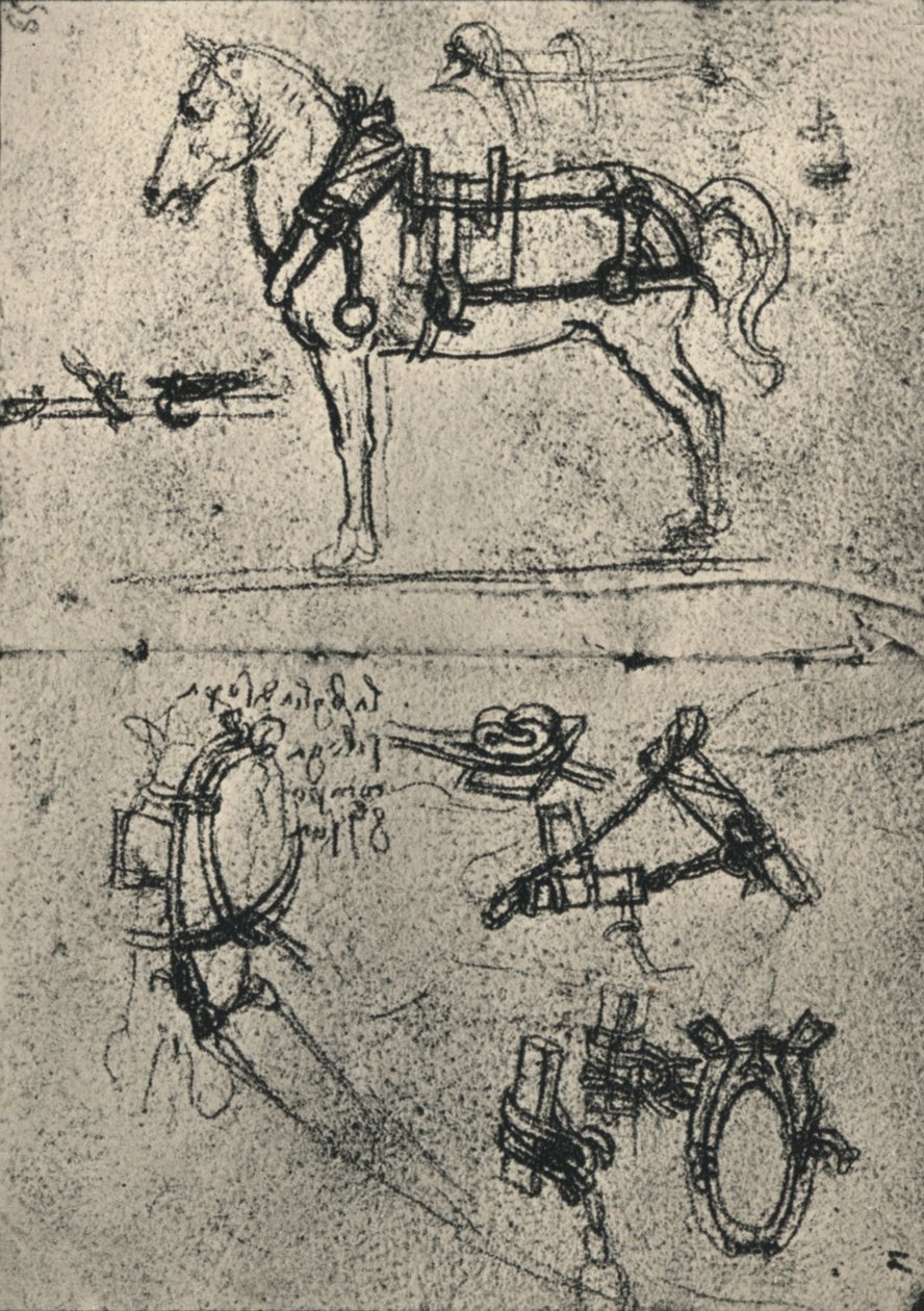 Zaprzęgnięty koń powozowy i badania uprzęży, ok. 1480 1945 r autorstwa Leonardo da Vinci