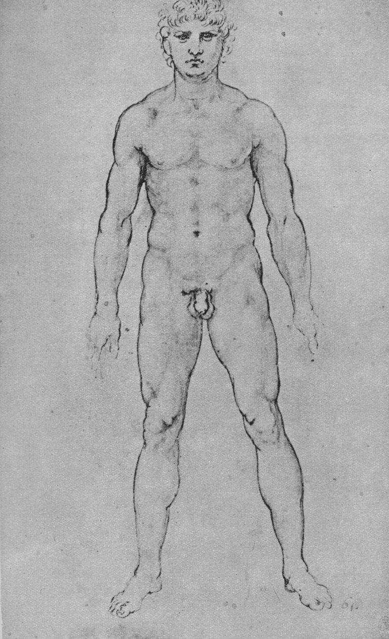 Nagi mężczyzna widziany z przodu, ok. 1480 1945 autorstwa Leonardo da Vinci