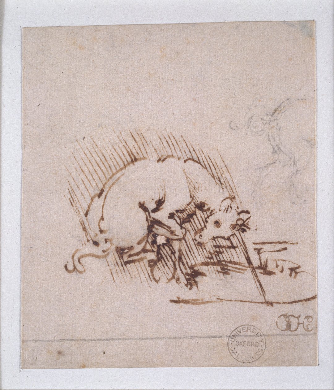 Jednorożec, c1472-1519 autorstwa Leonardo da Vinci