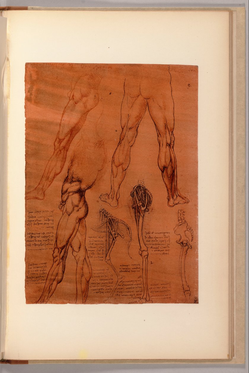 Strona z "Quaderni d" Anatomy, I-VI, 1911-16 autorstwa Leonardo da Vinci