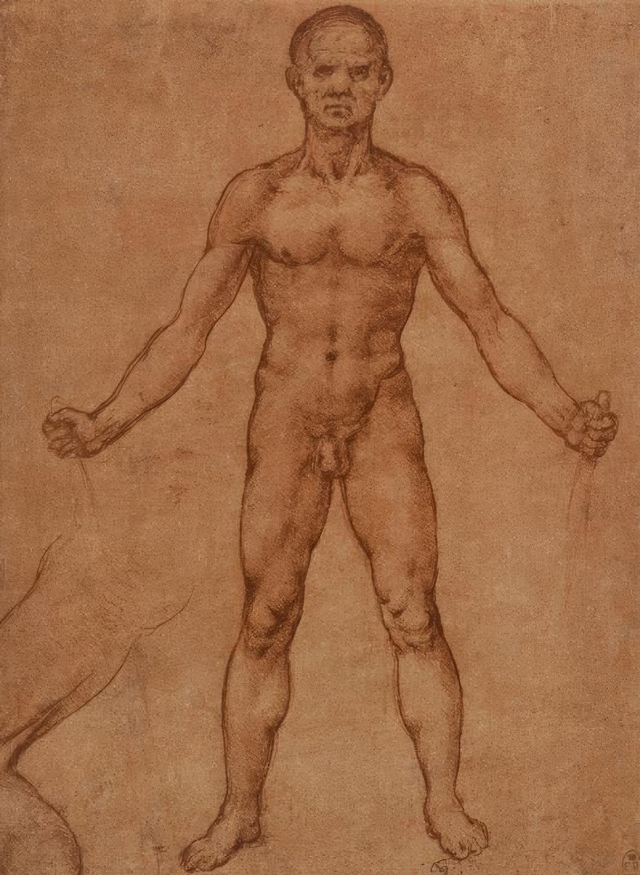 Nagie studium stojącego mężczyzny, frontalne autorstwa Leonardo da Vinci