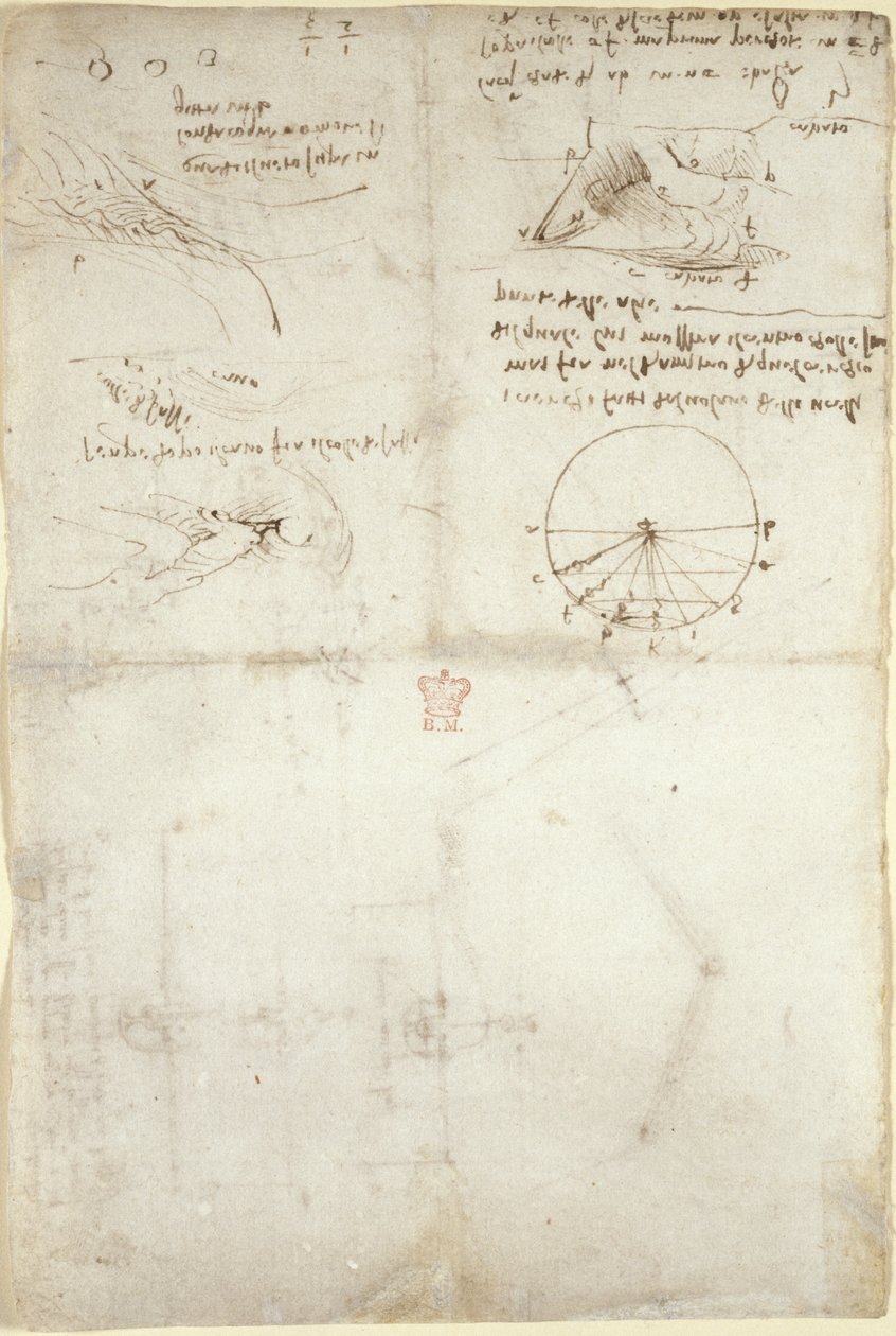 Arundel 263, f.126v Trzy notatki i szkice na wodzie; schemat lotu ptaków, ok. 1500-5 (pióro i atrament na papierze) autorstwa Leonardo da Vinci