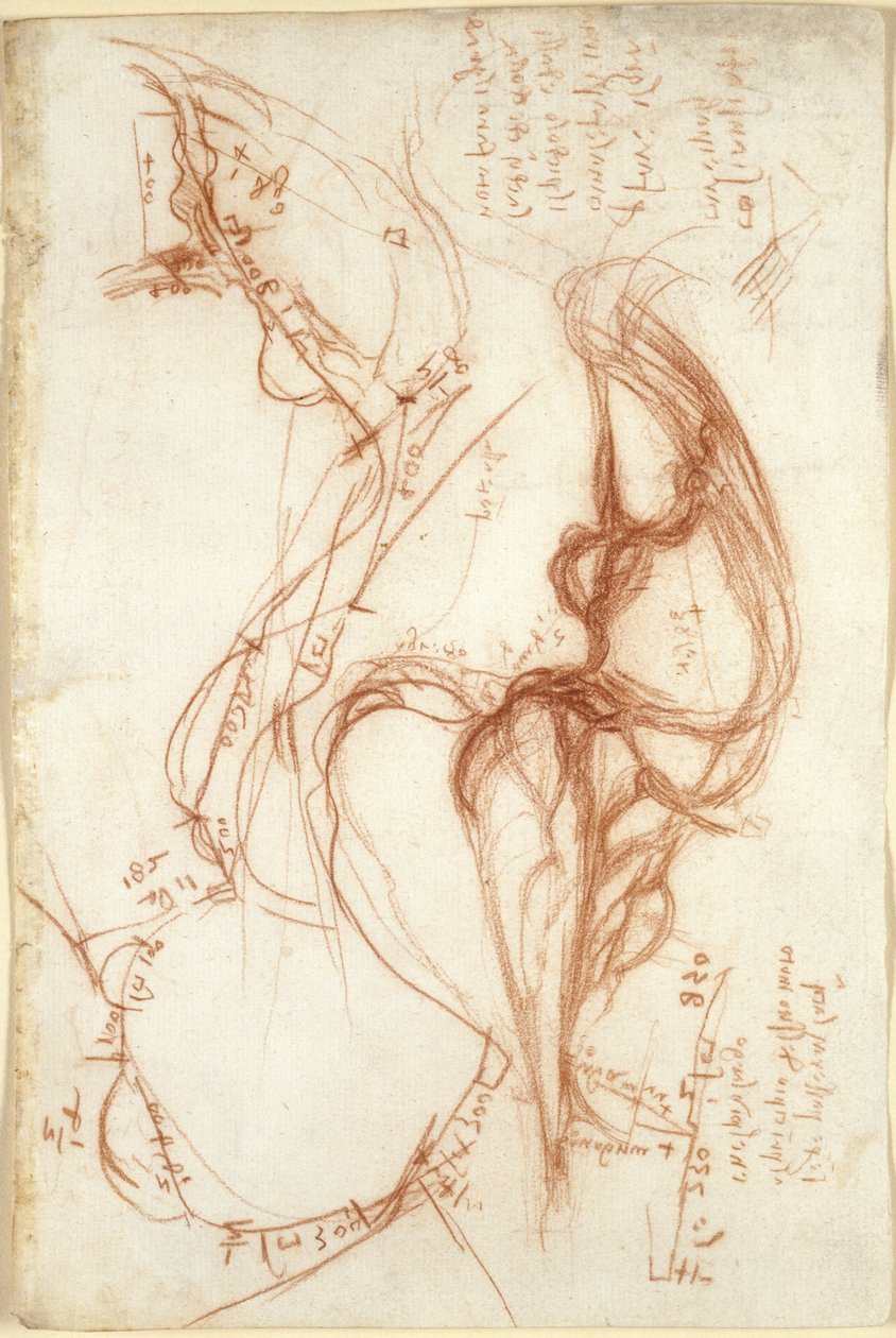 Arundel 263, f.149, Szkice planimetryczne rzeki Arno; notatki dotyczące gospodarki wodnej autorstwa Leonardo da Vinci