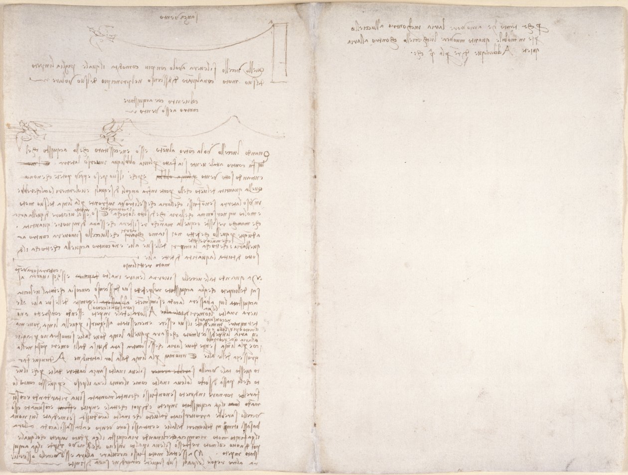 Arundel 263, f.166v, f.163 Notatki i diagramy dotyczące lotu ptaków, z „Codex Arundel”, c.1500-5 (pióro i atrament na papierze) autorstwa Leonardo da Vinci