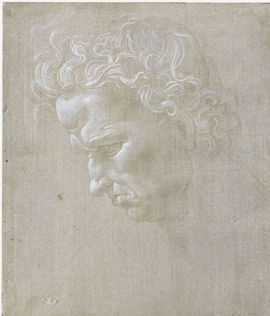 Profil twarzy mężczyzny autorstwa Leonardo da Vinci