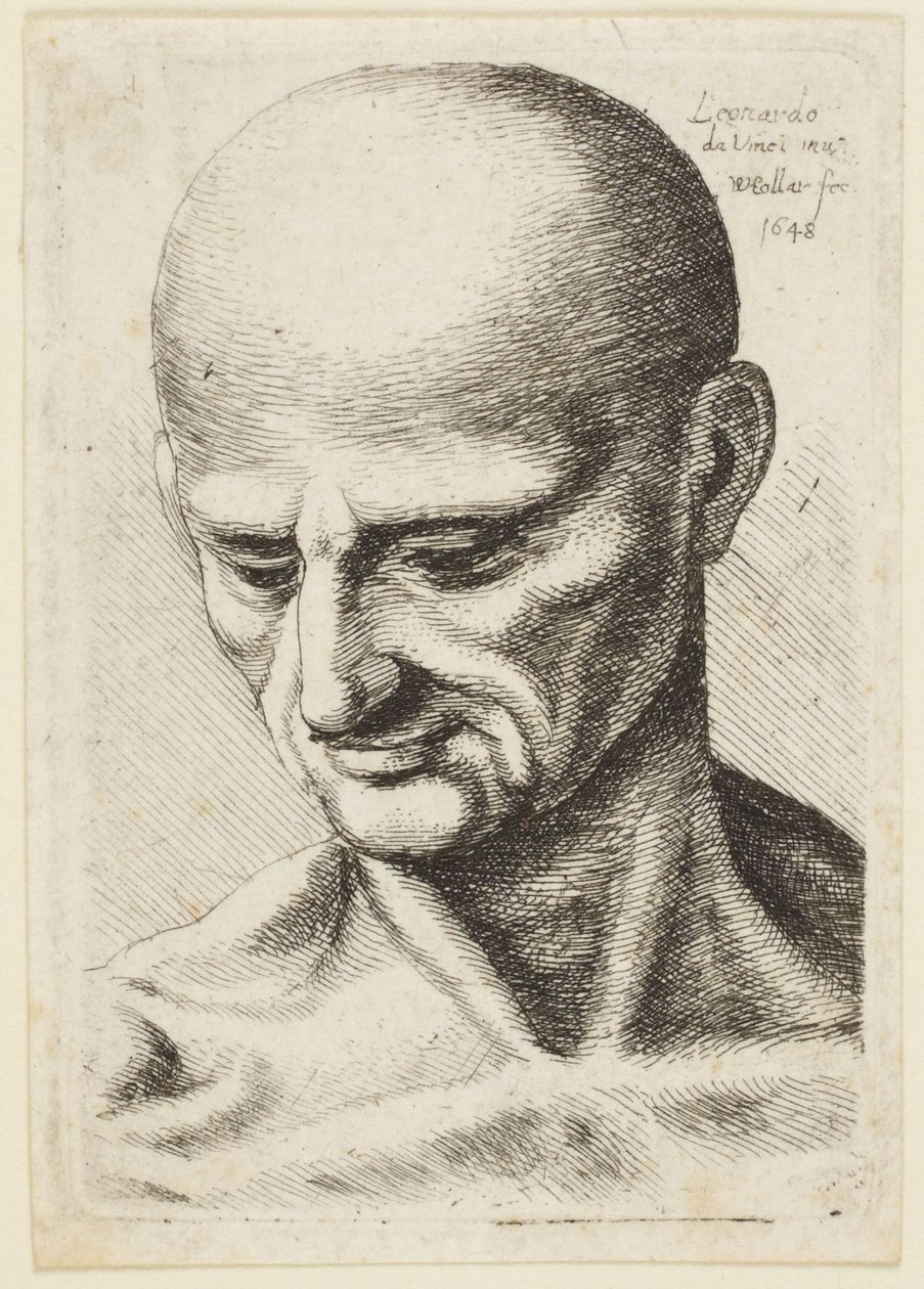 Łysy mężczyzna autorstwa Leonardo da Vinci