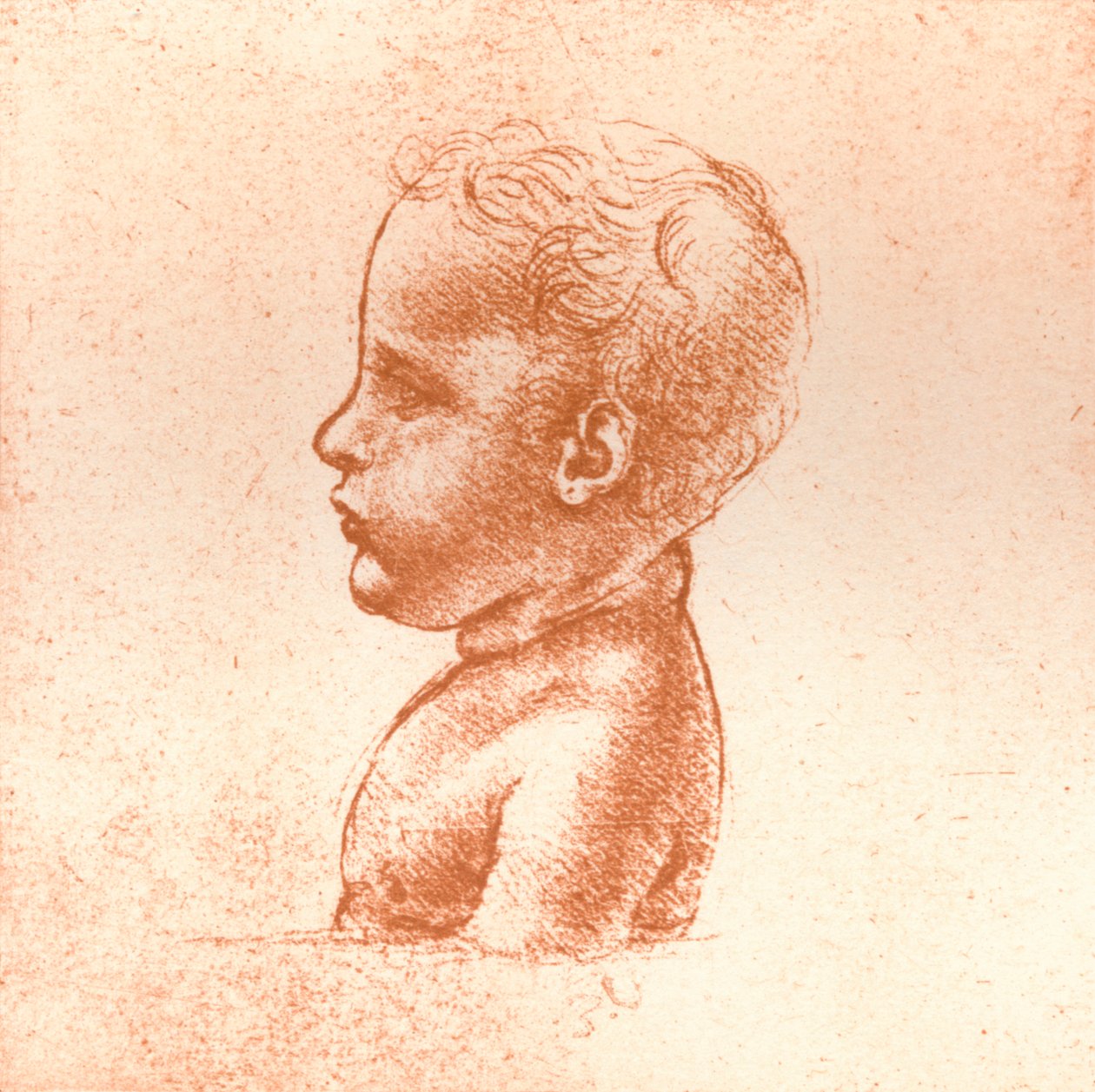 Popiersie chłopca, c1472-c1519 1883 autorstwa Leonardo da Vinci