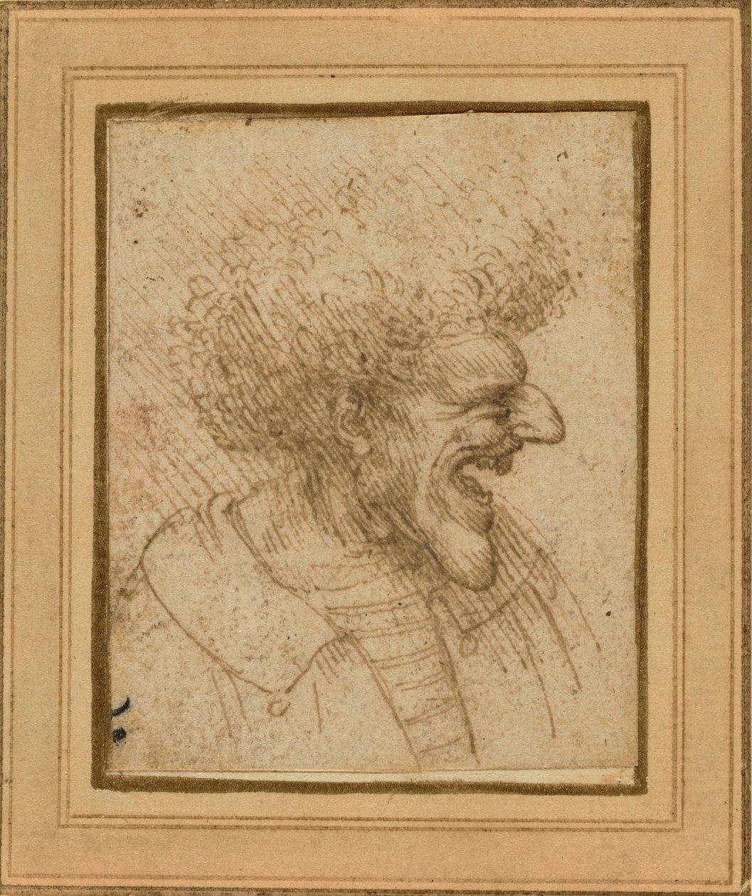 Karykatura mężczyzny z krzaczastymi włosami autorstwa Leonardo da Vinci