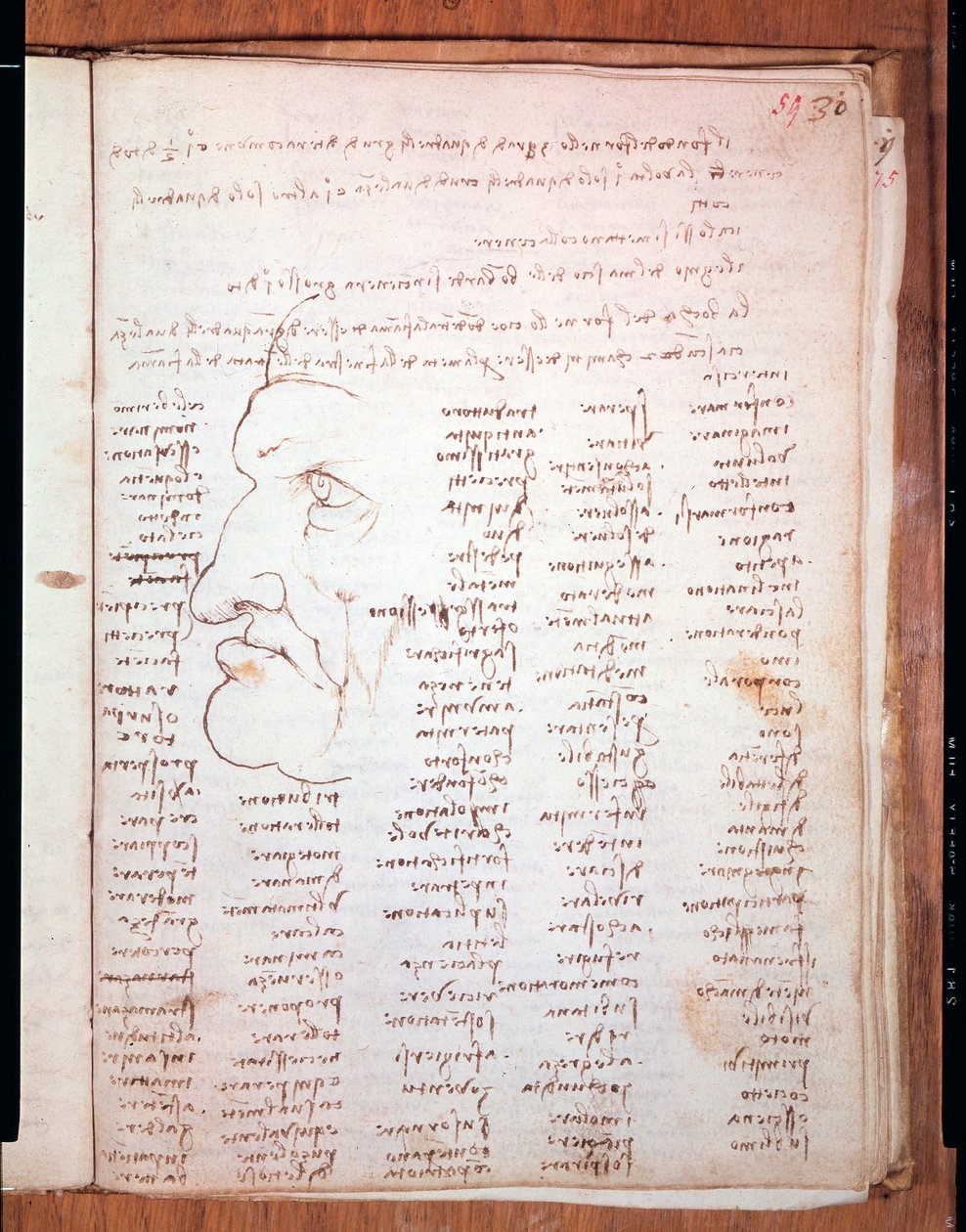 Codex Trivulziano Leonarda da Vinci (Leonardo da Vinci) (1452 - 1519) - Biblioteka Trivulziana, Mediolan autorstwa Leonardo da Vinci