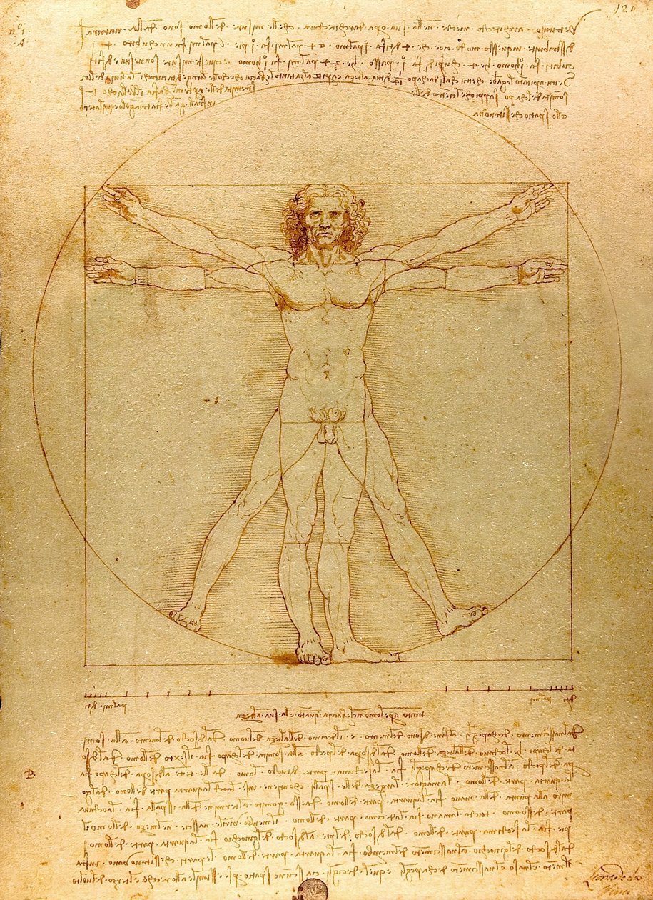Da Vinci Vitruve Luc Viatour (przycięte) autorstwa Leonardo da Vinci