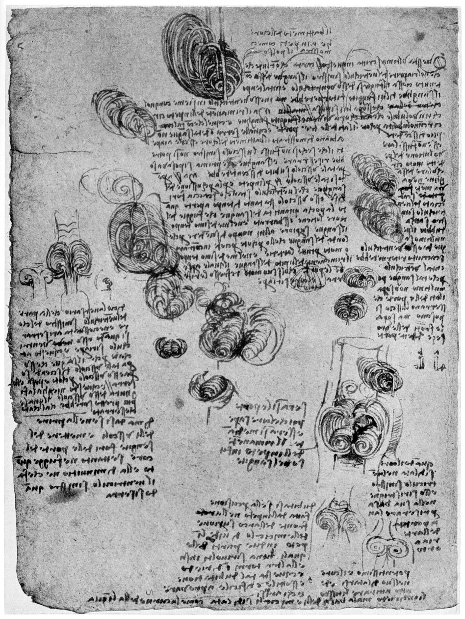 Schemat wiru krwi w sercu, koniec XV lub początek XVI wieku 1954 autorstwa Leonardo da Vinci