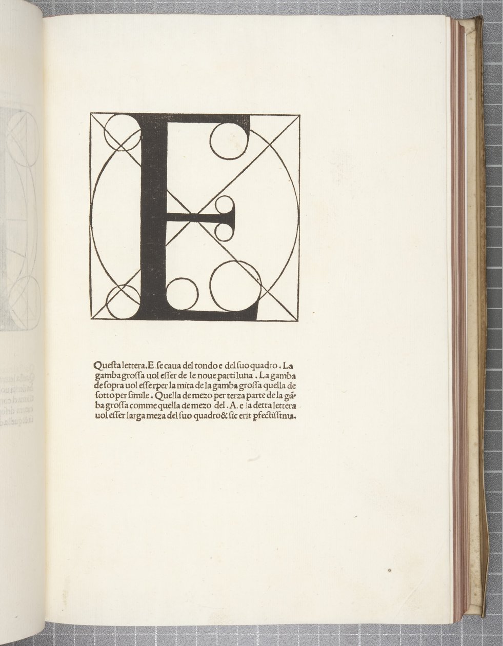 Boska proporcja — Luca Pacioli autorstwa Leonardo da Vinci