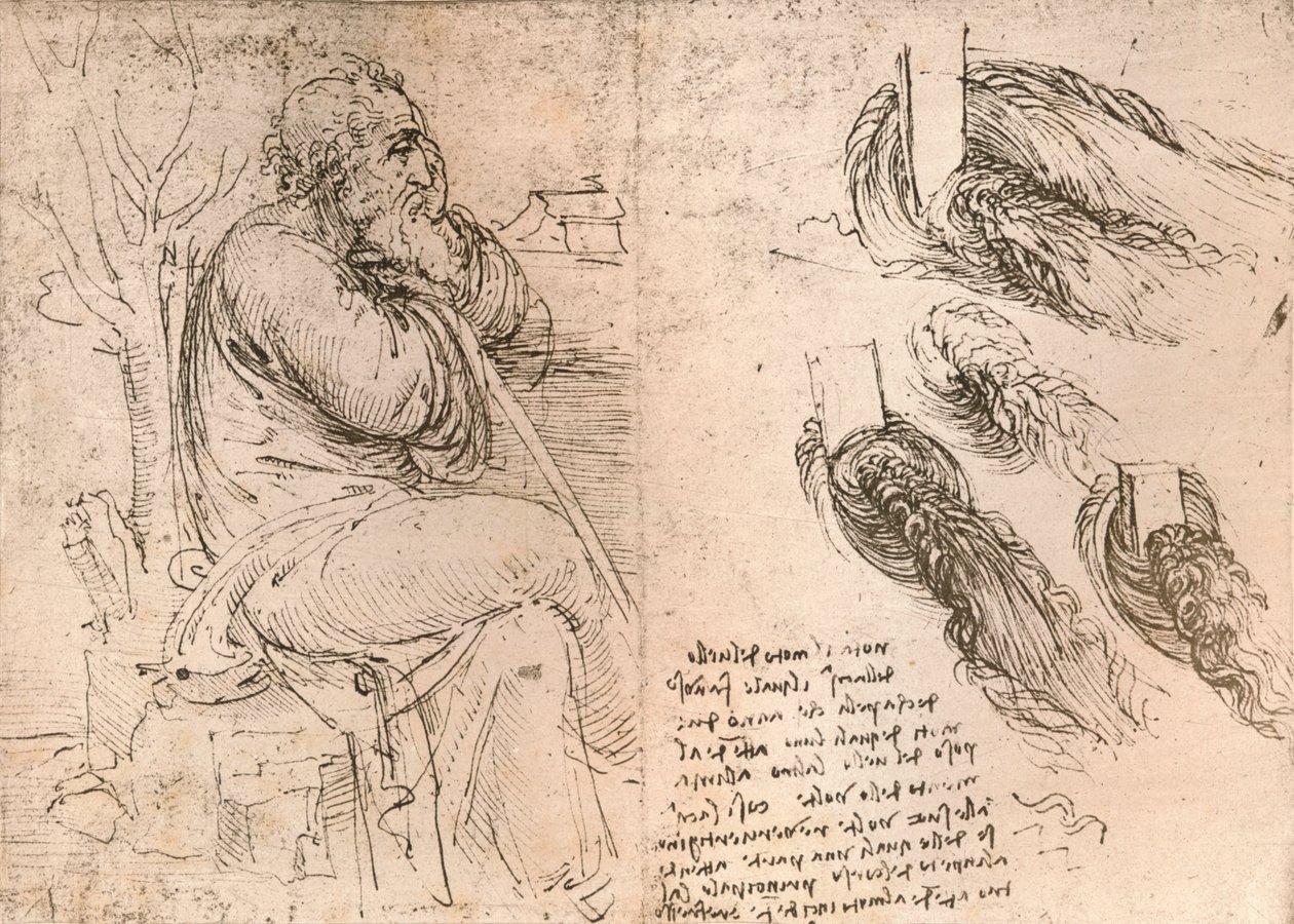 Rysunek ilustrujący przedstawienie włosów opadających w loki, c1472-c1519 1883 autorstwa Leonardo da Vinci